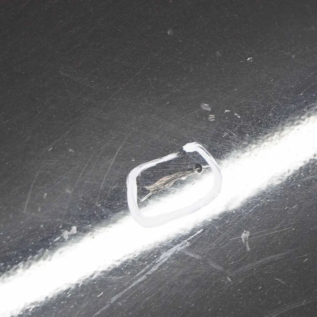 Mercedes CLC CL203 Door Front Left N/S Obsidian Black Metallic - 197U - SKU A2037201505-OB - Part number A2037201505