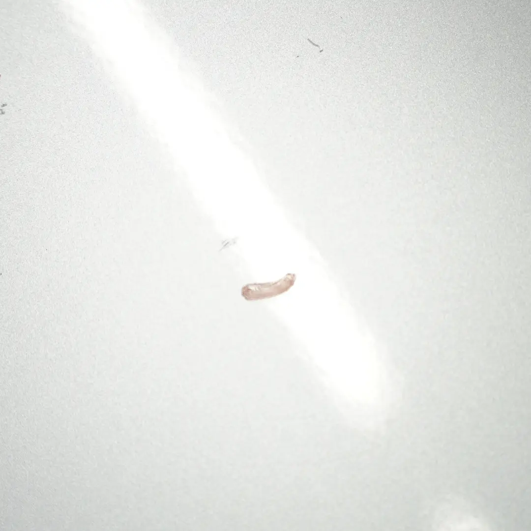 Puerta Trasera Izquierda Iridium Silver Metallic - 775 para Mercedes W203 con número de pieza A2037300705 Mercedes W203 Puerta Trasera Izquierda Iridium Silver Metallic - 775 - SKU A2037300705-IRS - Número de pieza A2037300705