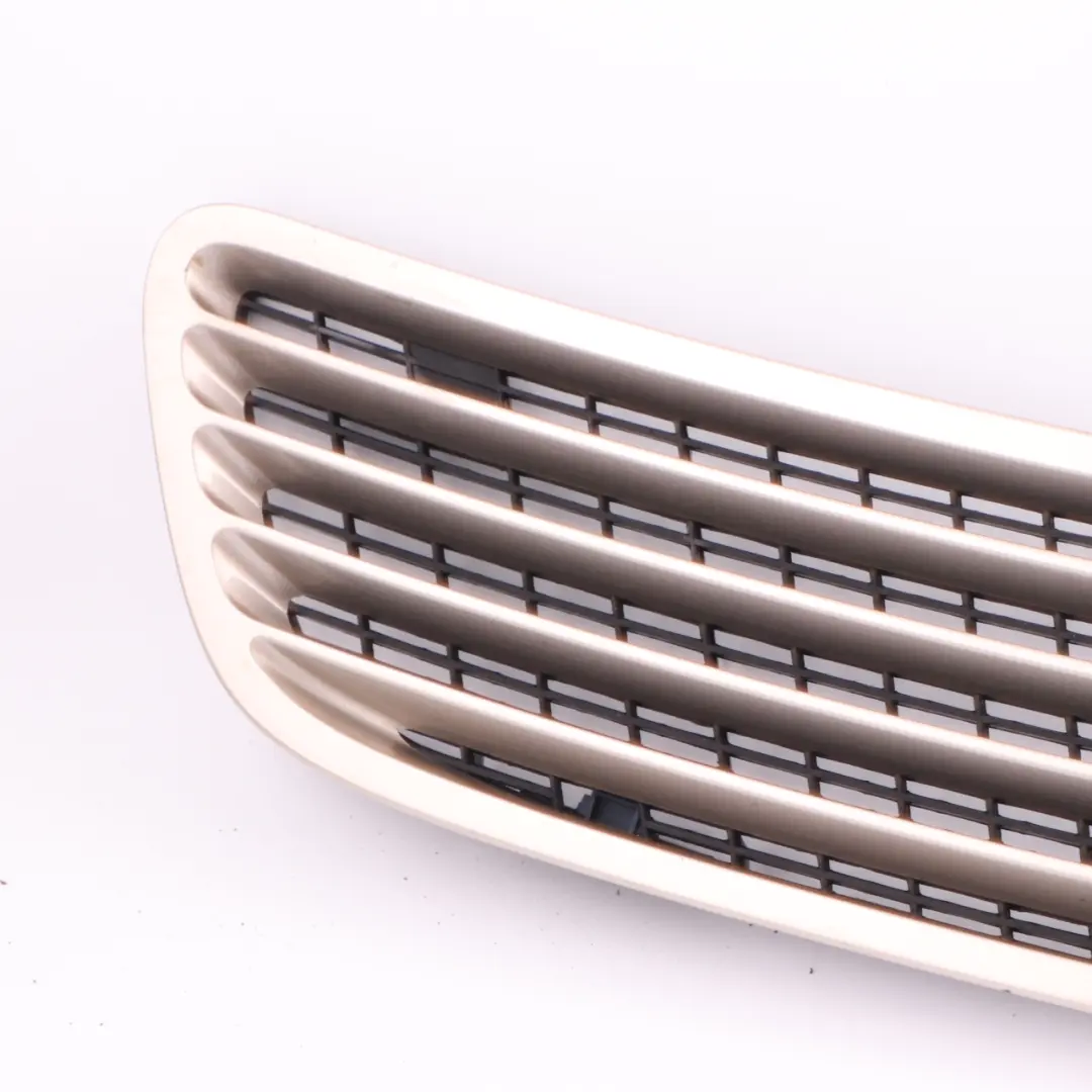 Front Hood Top Cover Grill Travertine Beige - 693 to Mercedes W203 C209 with Part number A2038800205 Mercedes W203 C209 Front Hood Top Cover Grill Travertine Beige - 693 - SKU A2038800205-TRB - Part number A2038800205