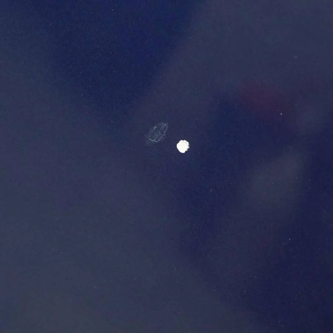 Maska Silnika Jaspis Blue - 345 do Mercedes W203 o numerze A2038800257 Mercedes W203 Maska Silnika Jaspis Blue - 345 - SKU A2038800257-JAS - Numer Części A2038800257