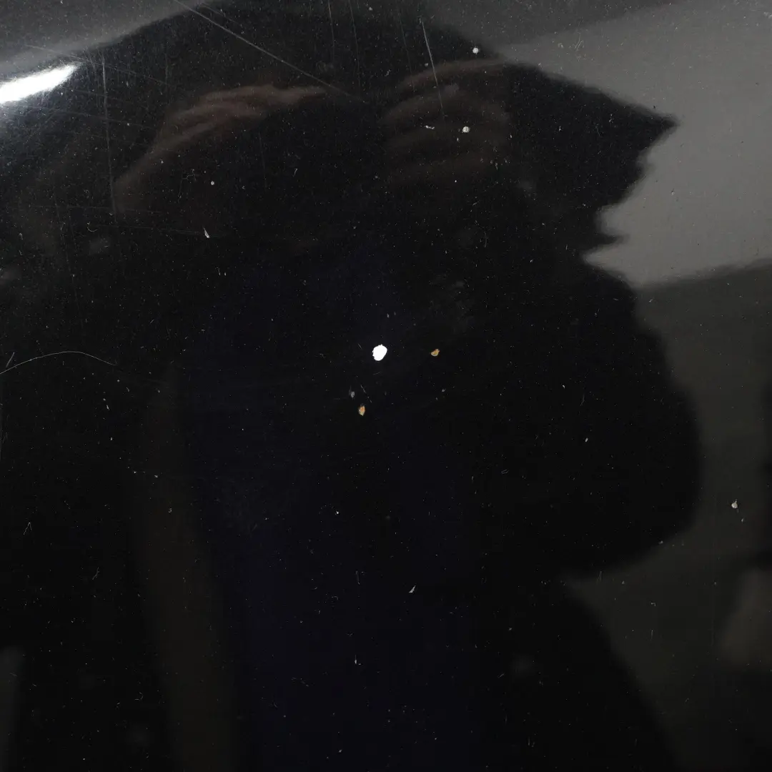 Hood Bonnet Trim Panel Palladium Silver Metallic - 792 to Mercedes W203 CL203 with Part number A2038800957 Mercedes W203 CL203 Hood Bonnet Trim Panel Palladium Silver Metallic - 792 - SKU A2038800957-OB - Part number A2038800957