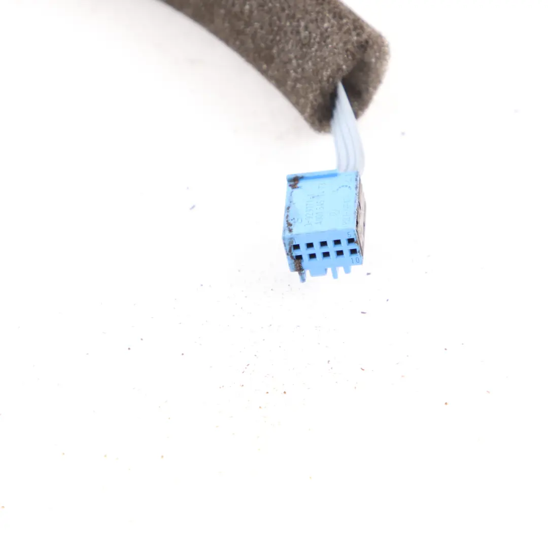 Mercedes W204 Mazo de cables Cableado Tarjeta Panel Puerta Trasera - SKU A2045402610 - Número de pieza A2045402610