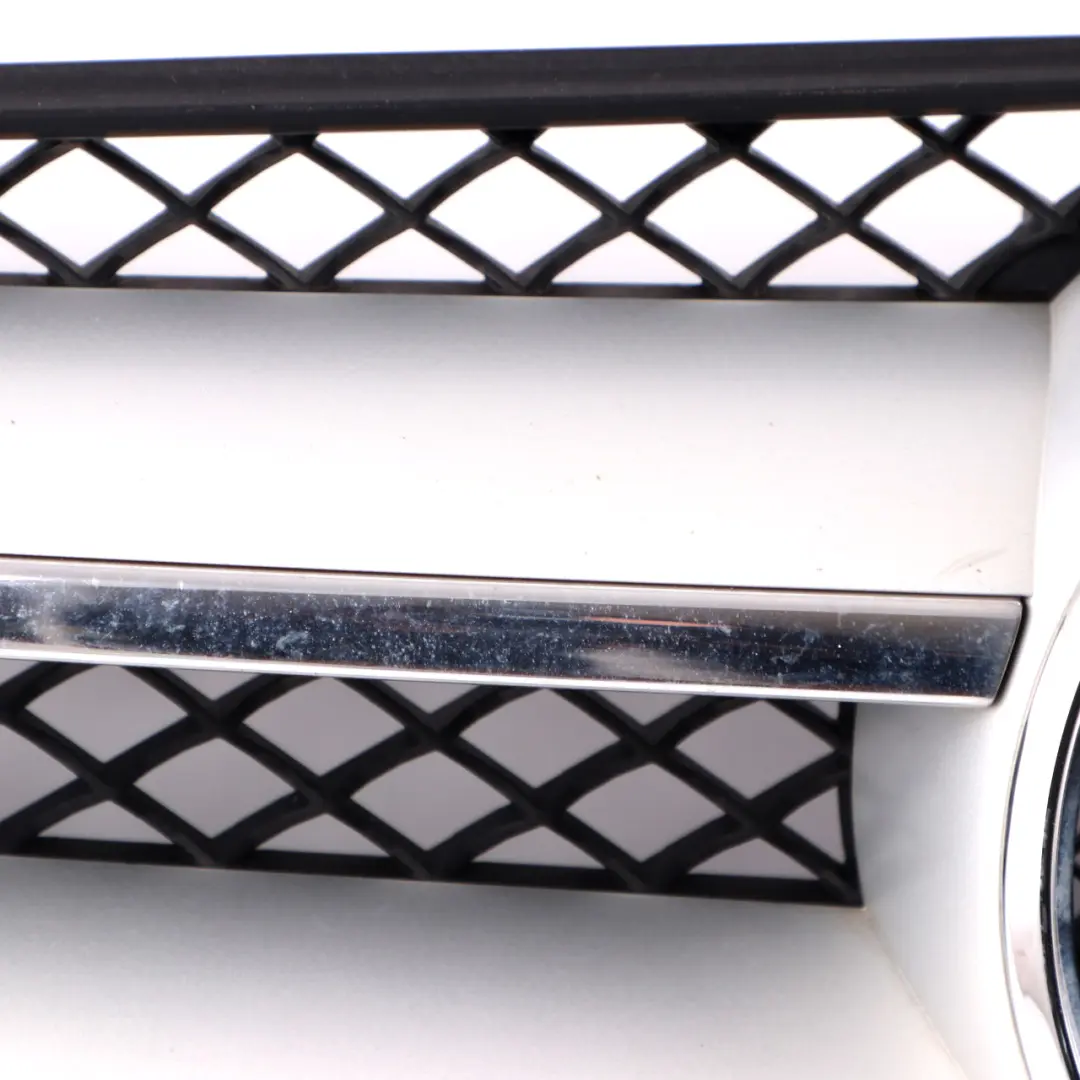 Capot Bonnet Grille Cache Radiateur Panneau pour Mercedes W204 Coupe à propos du numéro de pièce A2048802183 Mercedes W204 Coupe Capot Bonnet Grille Cache Radiateur Panneau - SKU A2048802183 - Numéro de pièce A2048802183