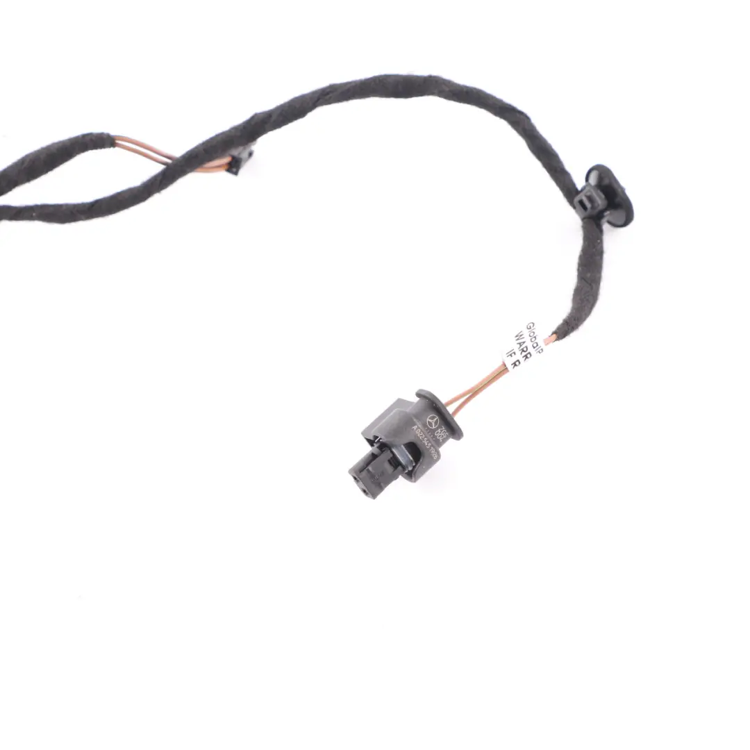 Door Wiring Mercedes C205 Front Left Right N/O/S Door Wiring Harness to with Part number A2055409131 Door Wiring Mercedes C205 Front Left Right N/O/S Door Wiring Harness - SKU A2055409131 - Part number A2055409131