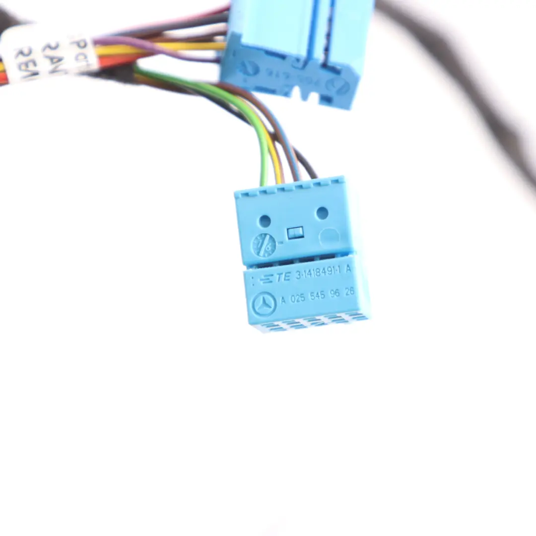 Door Wiring Mercedes W205 C253 Passenger Side Cable Harness Loom to with Part number A2055409309 Door Wiring Mercedes W205 C253 Passenger Side Cable Harness Loom - SKU A2055409309 - Part number A2055409309