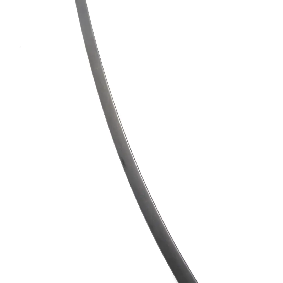 Mercedes W205 Finestrino Porta Anteriore Sinistro Striscia Alta Lucentezza - SKU A2056900180 - Numero di parte A2056900180