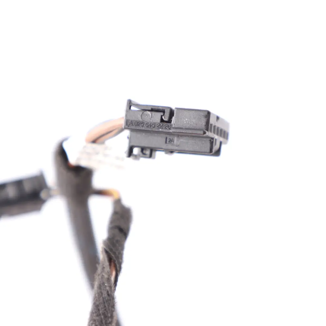 Mercedes C207 Luz Trasera Derecha Enchufe de Luz Trasera Cableado A0255452226 - SKU A2079060258-1 - Número de pieza A2079060258