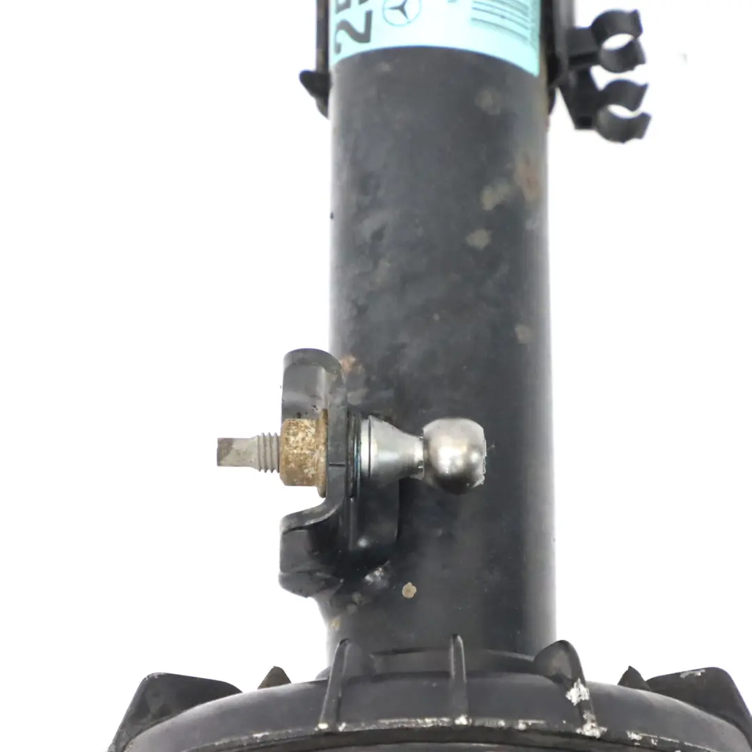 Amortiguador Delantero Izquierdo Derecho Suspensión Muelle Strut para Mercedes W209 con número de pieza A2093200330 Mercedes W209 Amortiguador Delantero Izquierdo Derecho Suspensión Muelle Strut - SKU A2093200330 - Número de pieza A2093200330