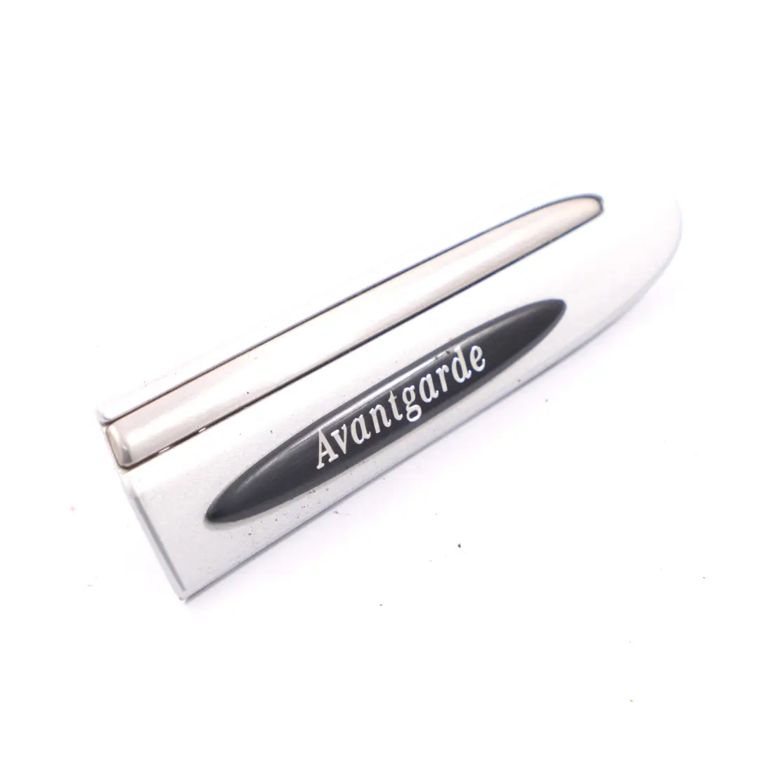 Moldura Aleta Delantera Derecha Iridium Plata para Mercedes CLK C209 con número de pieza A2096902262 Mercedes CLK C209 Moldura Aleta Delantera Derecha Iridium Plata - SKU A2096902262-IRS - Número de pieza A2096902262