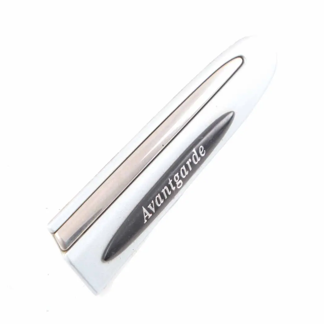 Fender Moulding Trim Front Right O/S Tellurium Silver - 762 to Mercedes CLK W209 with Part number A2096902262 Mercedes CLK W209 Fender Moulding Trim Front Right O/S Tellurium Silver - 762 - SKU A2096902262-TES - Part number A2096902262