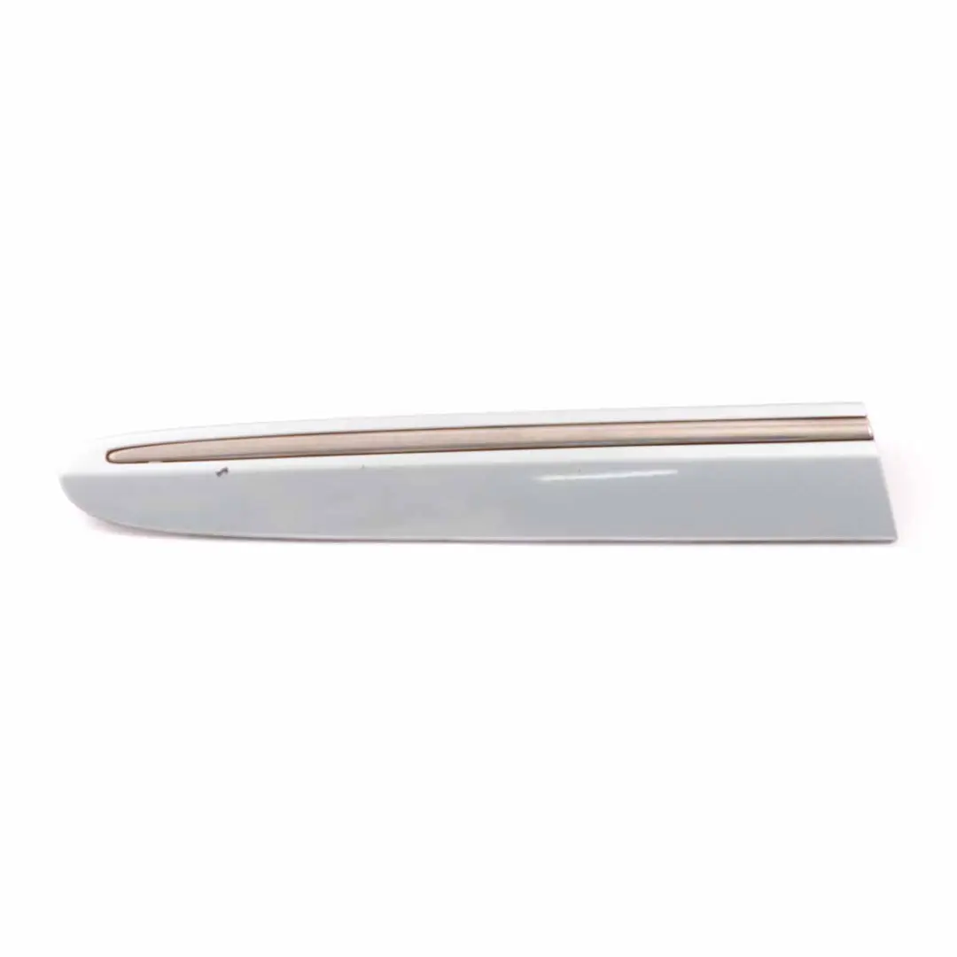 Mercedes W209 Moulure de Quartier Arrière Droite Tellurium Silver - SKU A2096902662-TES - Numéro de pièce A2096902662