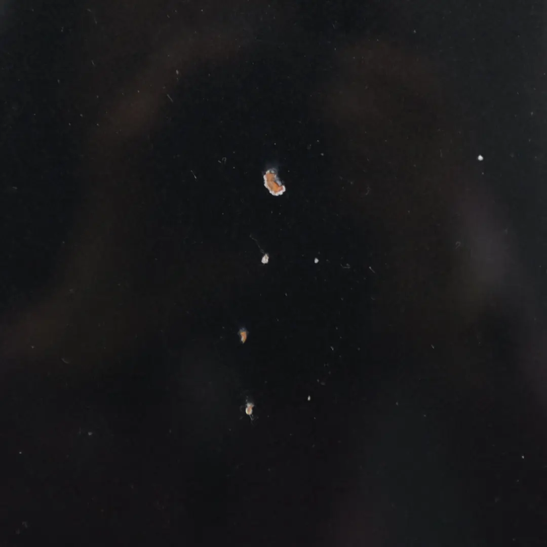 Mercedes CLK W209 Hood Bonnet Trim Panel Engine Cover Obsidian Black - 197 - SKU A2098800057-OB1 - Part number A2098800057