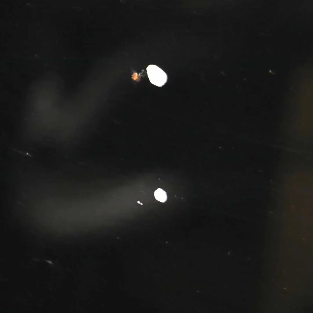 Mercedes CLK W209 Maska Obsidian Black - 197 - SKU A2098800057-OB1 - Numer Części A2098800057