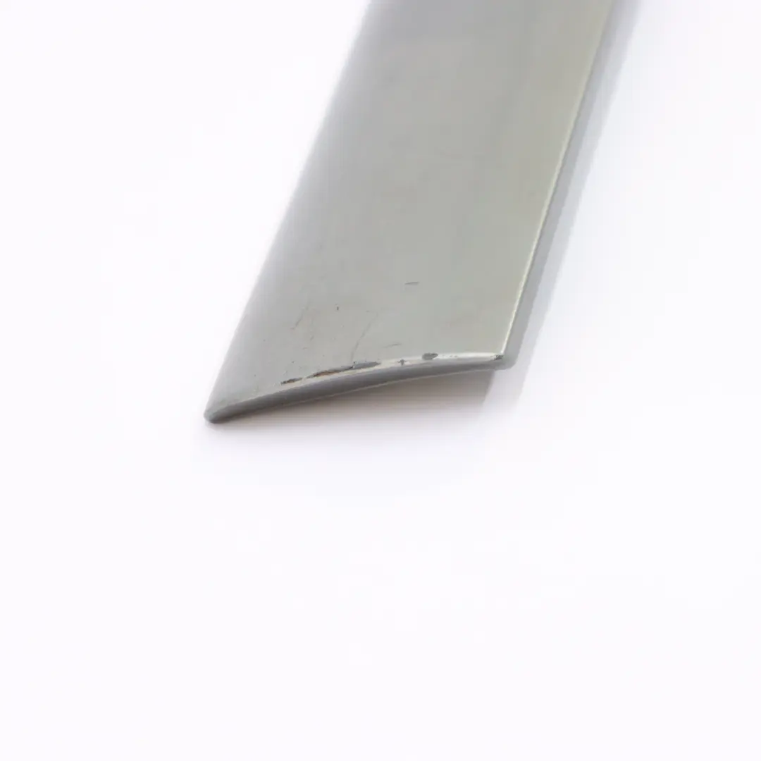 Mercedes W210 Front Left Door Trim Strip Moulding Brillantsilber Silver - 744 - SKU A2106908962-BRS - Número de pieza A2106908962