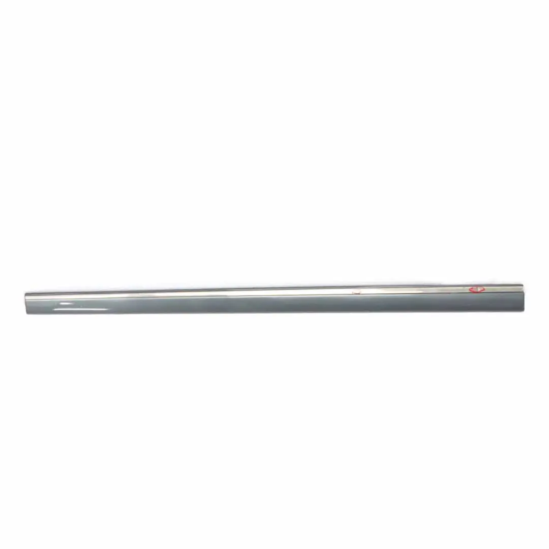 Mercedes W211 Moulure de Porte Avant Gauche Bande de Protection Flint Grey - 368 - SKU A2116901962-FLG - Numéro de pièce A2116901962