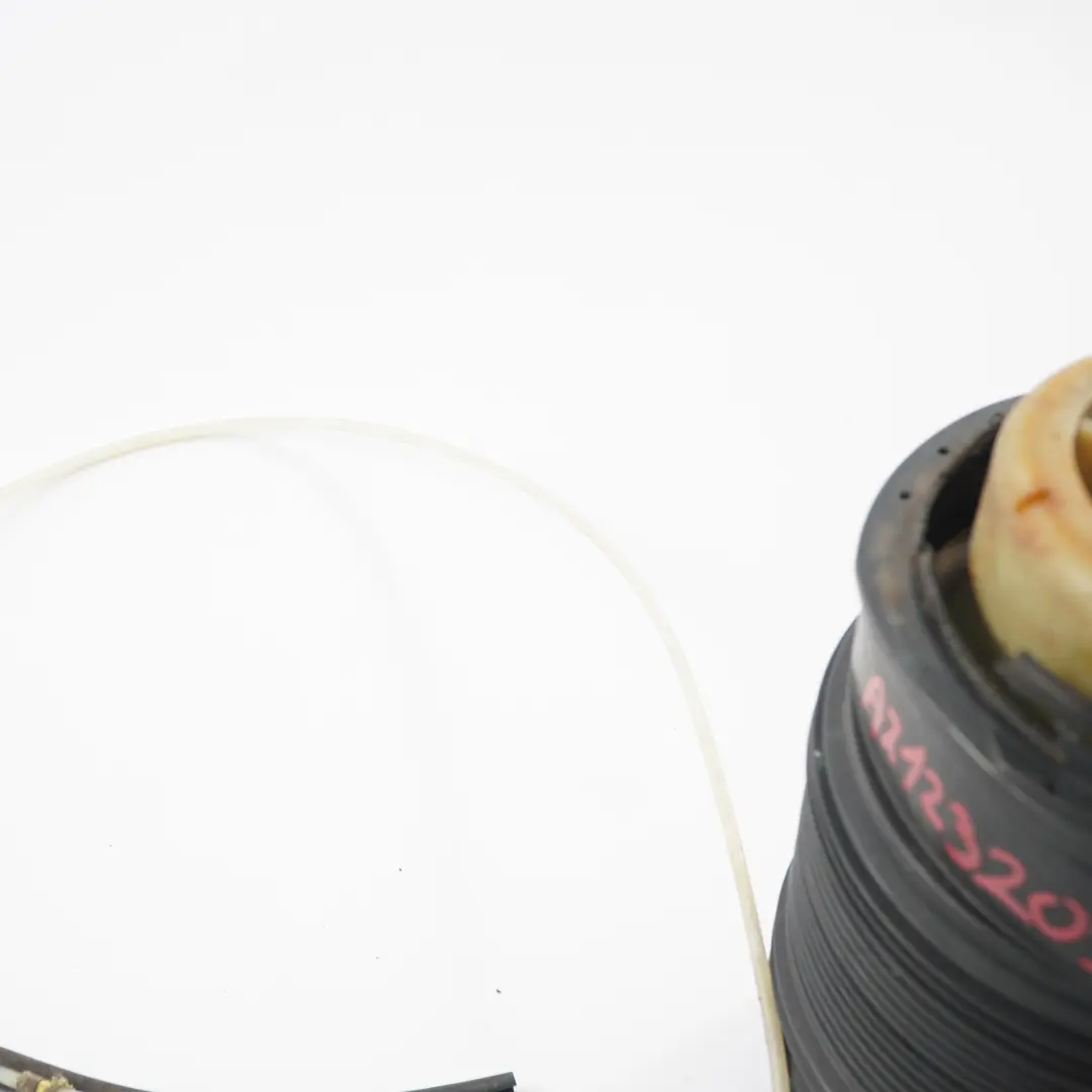 Muelle Suspensión Neumática Trasera Izquierda Estate para Mercedes S212 con número de pieza A2123203925 Mercedes S212 Muelle Suspensión Neumática Trasera Izquierda Estate - SKU A2123203925-2 - Número de pieza A2123203925