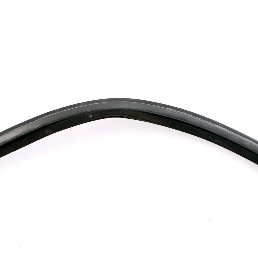 Mercedes W212 Seal Gasket Window Front Left Door N/S Sealing Rail - SKU A2127250325 - Part number A2127250325