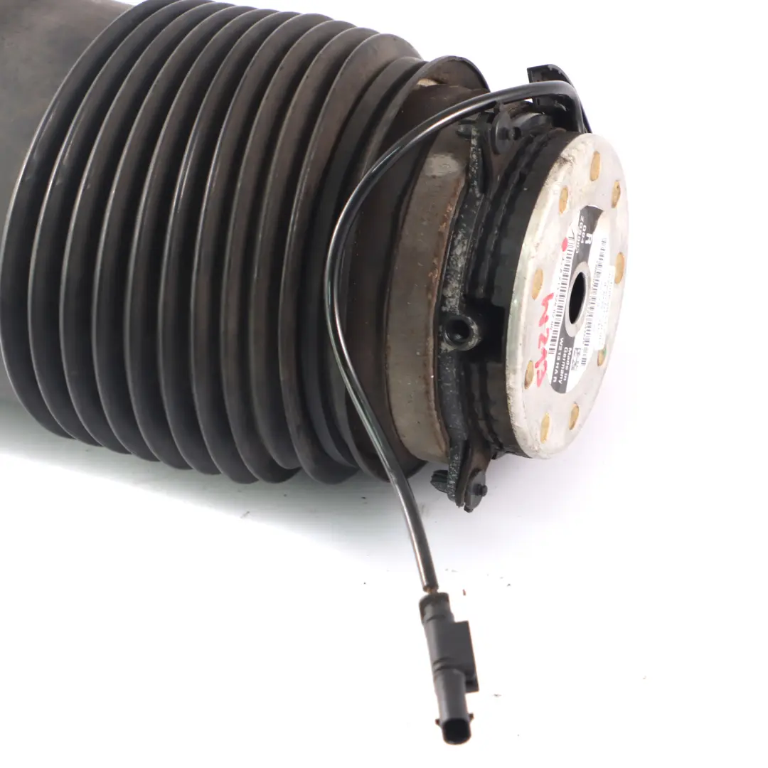 Hintere Absorber Mercedes W213 X253 Luftfederung rechts Frühling für mit Teilenummer A2133280200 Hintere Absorber Mercedes W213 X253 Luftfederung rechts Frühling - SKU A2133280200 - Teilenummer A2133280200