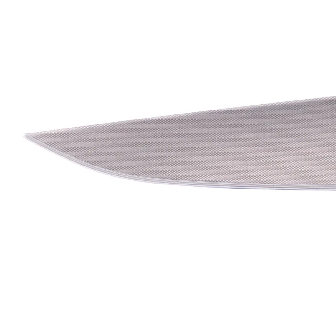 Mercedes W213 Door Panel Rear Left N/S - SKU A2137306100 - Part number A2137306100