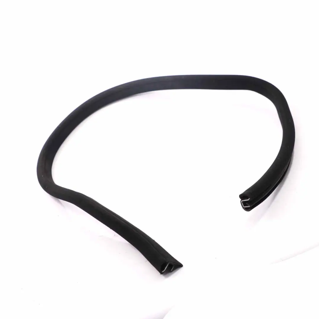 Mercedes CLS W219 Door Gasket Front Left Right N/O/S Guard Edge Seal - SKU A2196970151 - Part number A2196970151