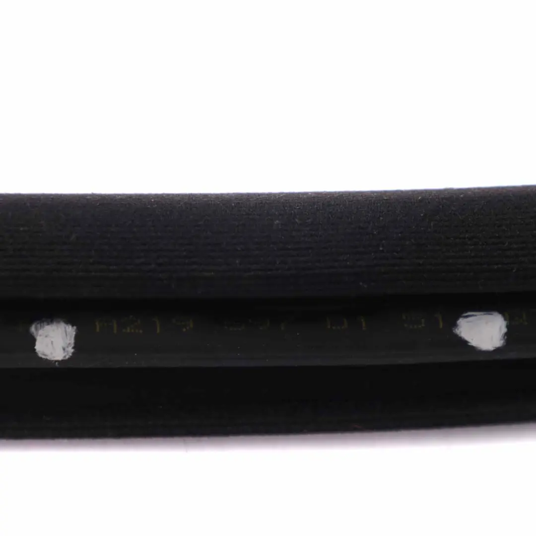 Mercedes CLS W219 Door Gasket Front Left Right N/O/S Guard Edge Seal - SKU A2196970151 - Part number A2196970151