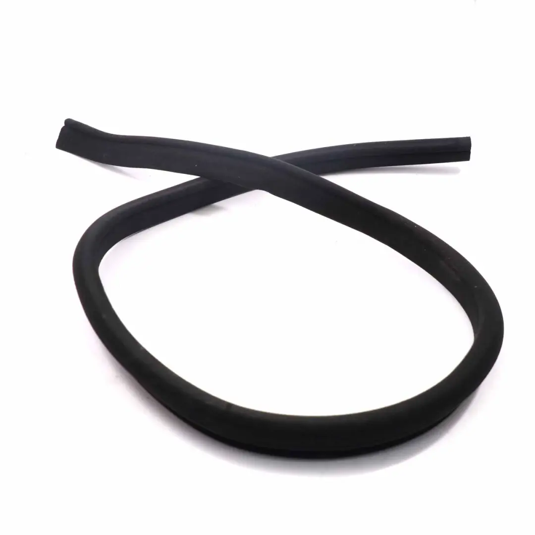 Mercedes CLS W219 Door Gasket Front Guard Edge Seal Left Right N/O/S - SKU A2196970151 - Part number A2196970151
