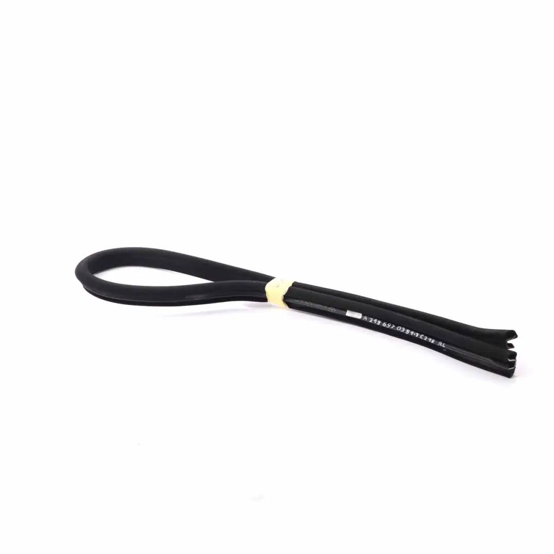 Mercedes CLS W219 Door Gasket Rear Left Right N/O/S Guard Edge Seal - SKU A2196970351-1 - Part number A2196970351