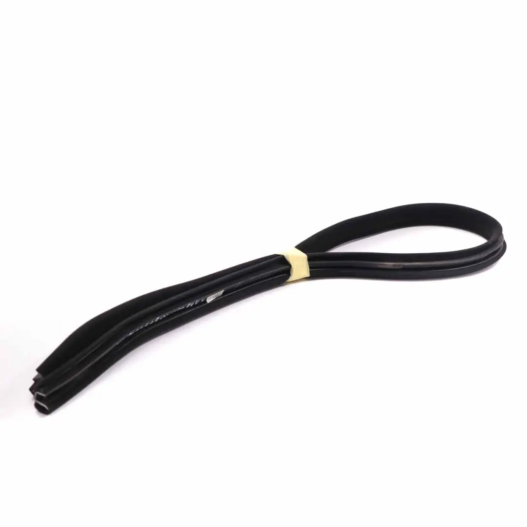 Mercedes CLS W219 Door Gasket Rear Left Right N/O/S Guard Edge Seal - SKU A2196970351-1 - Part number A2196970351