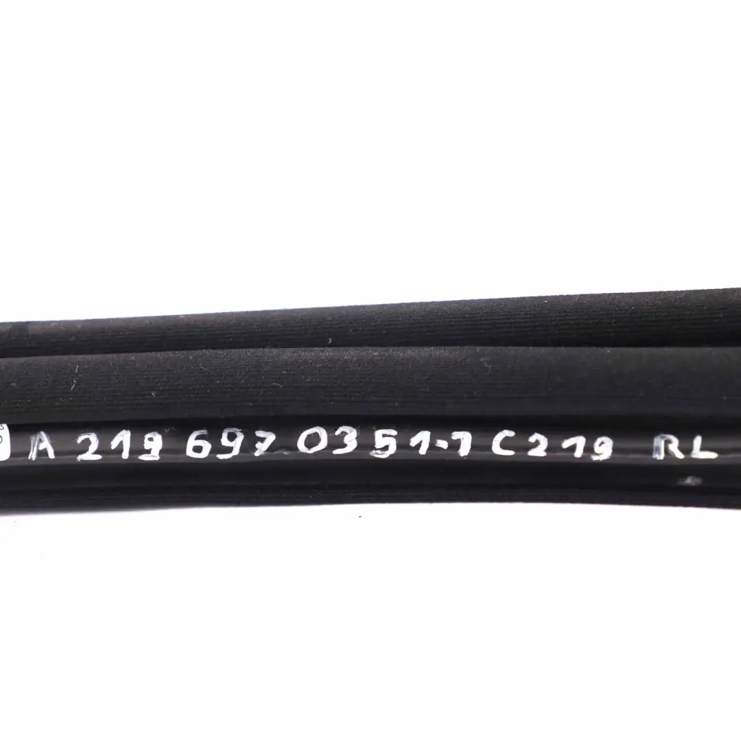 Mercedes W219 Guarnizione Porta Posteriore Sinistra Destra Guardia - SKU A2196970351-1 - Numero di parte A2196970351