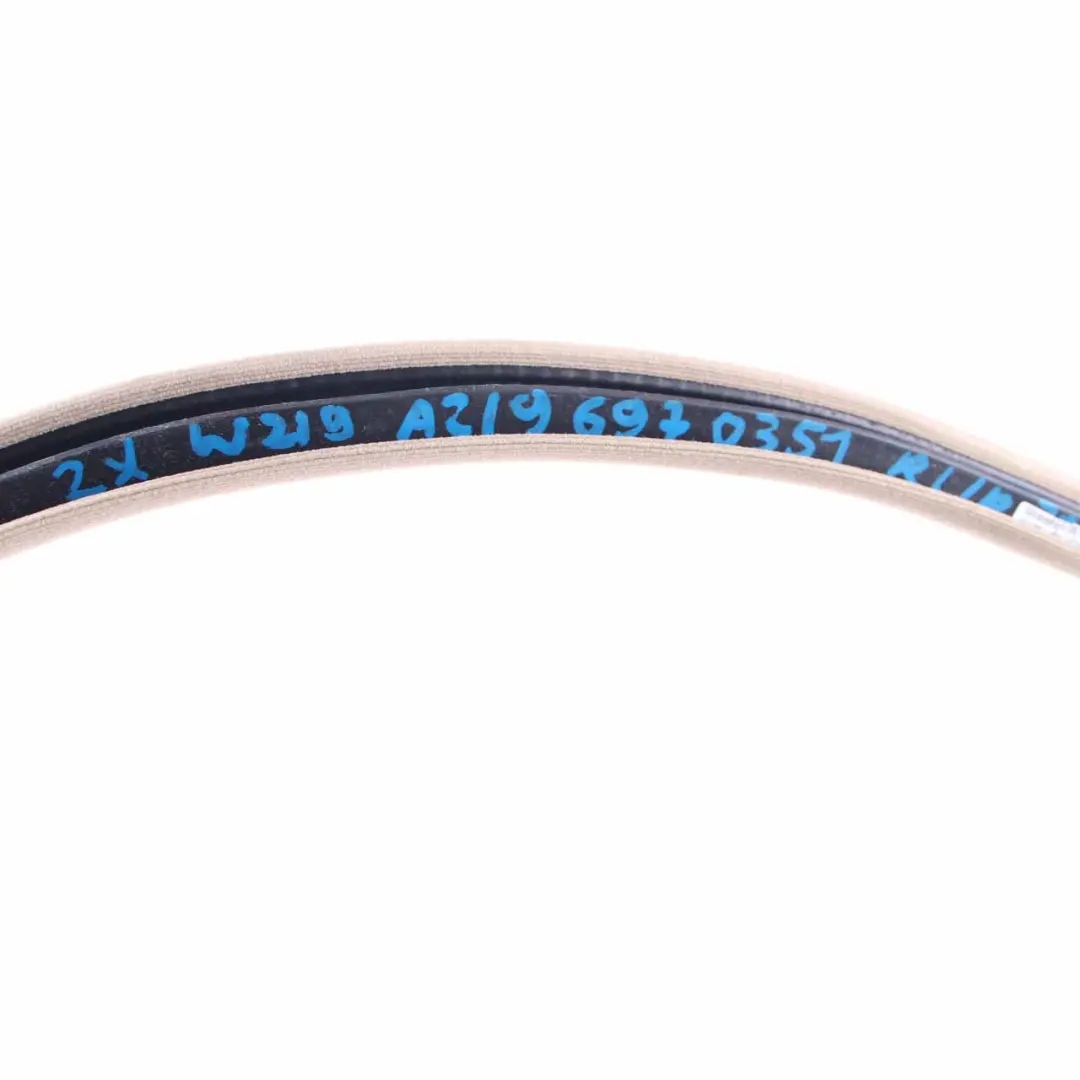 Mercedes W219 Edge Gasket Seal Door Guard Rear Left Right N/O/S - SKU A2196970351 - Part number A2196970351