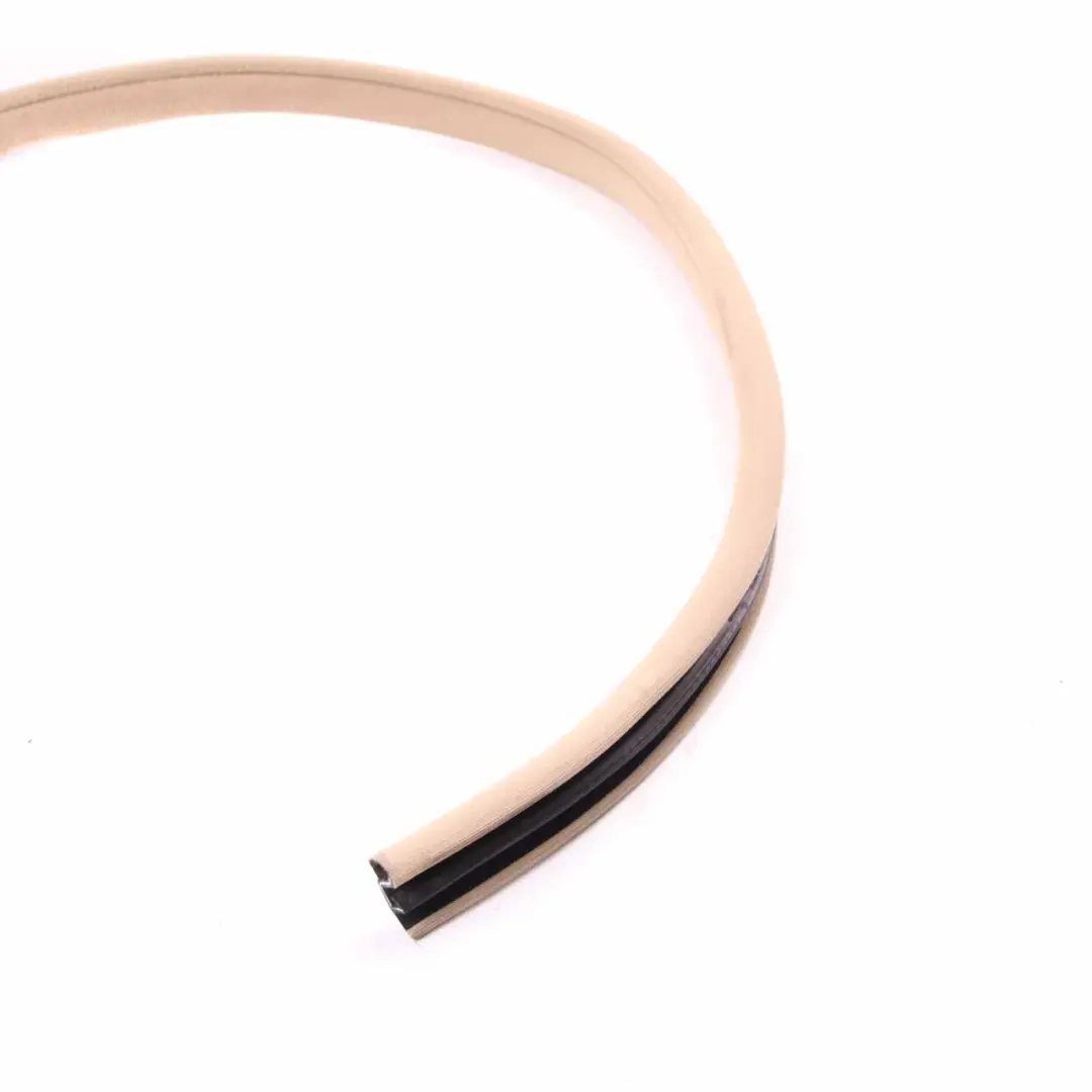 Mercedes W219 Edge Gasket Seal Door Guard Rear Left Right N/O/S - SKU A2196970351 - Part number A2196970351