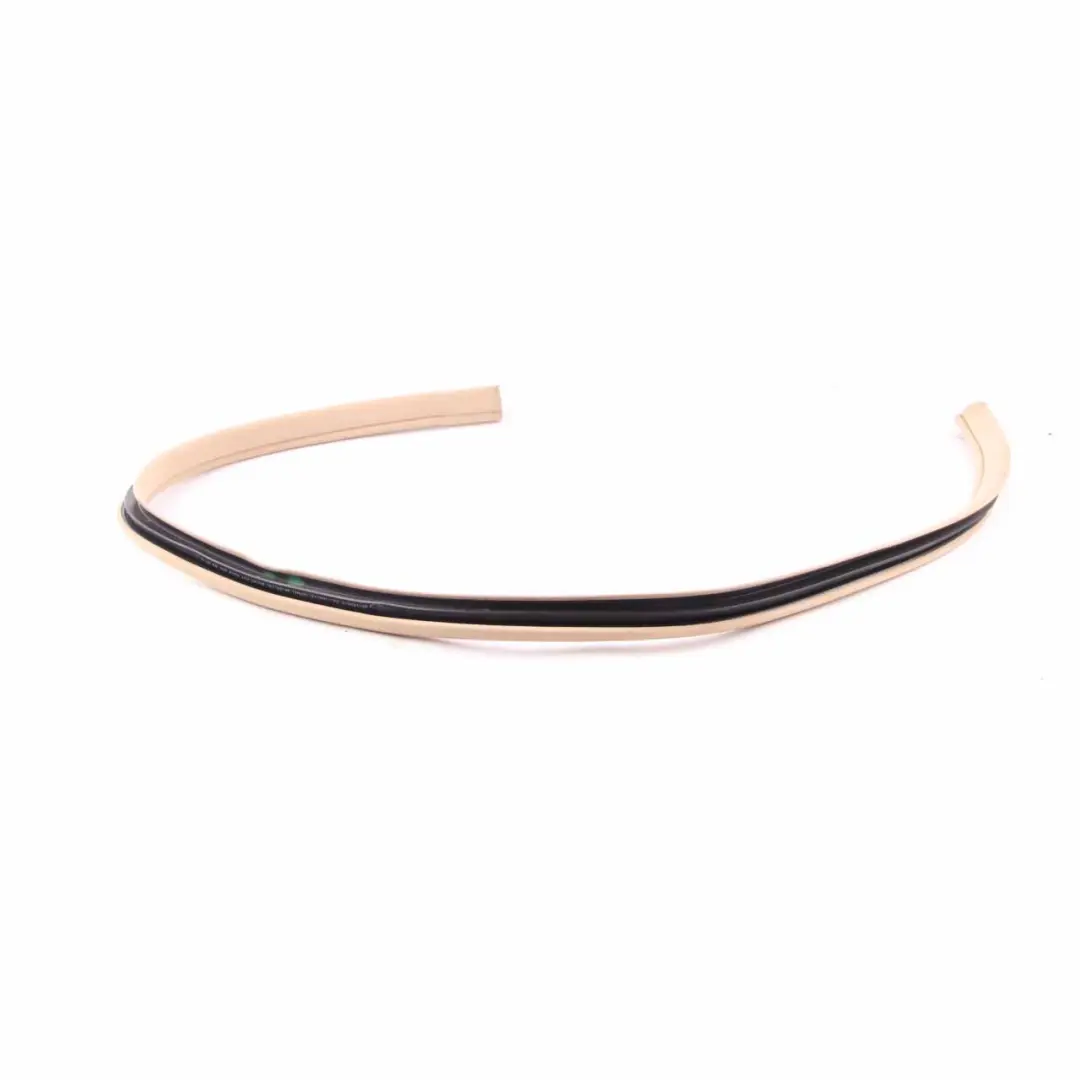 Mercedes W219 Edge Gasket Seal Door Guard Rear Left Right N/O/S - SKU A2196970351 - Part number A2196970351