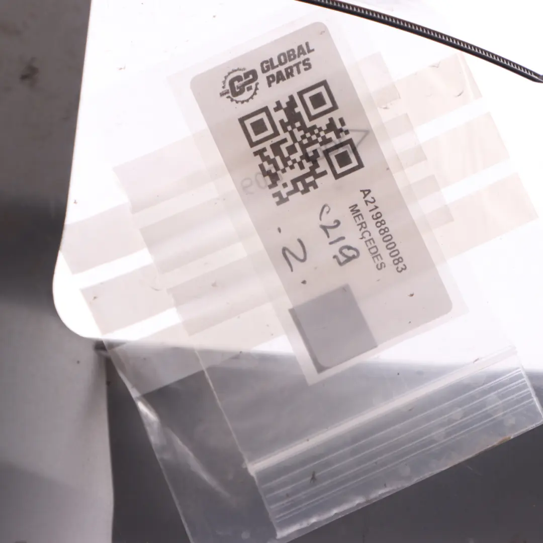 Griglia Anteriore Radiatore Pannello Copertura Argento per Mercedes C219 con numero di parte A2198800083 Mercedes C219 Griglia Anteriore Radiatore Pannello Copertura Argento - SKU A2198800083 - Numero di parte A2198800083