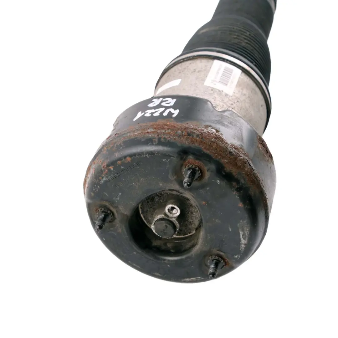 Mercedes W221 Essieu arrière suspension amortisseur jambe de force - SKU A2213205613 - Numéro de pièce A2213205613