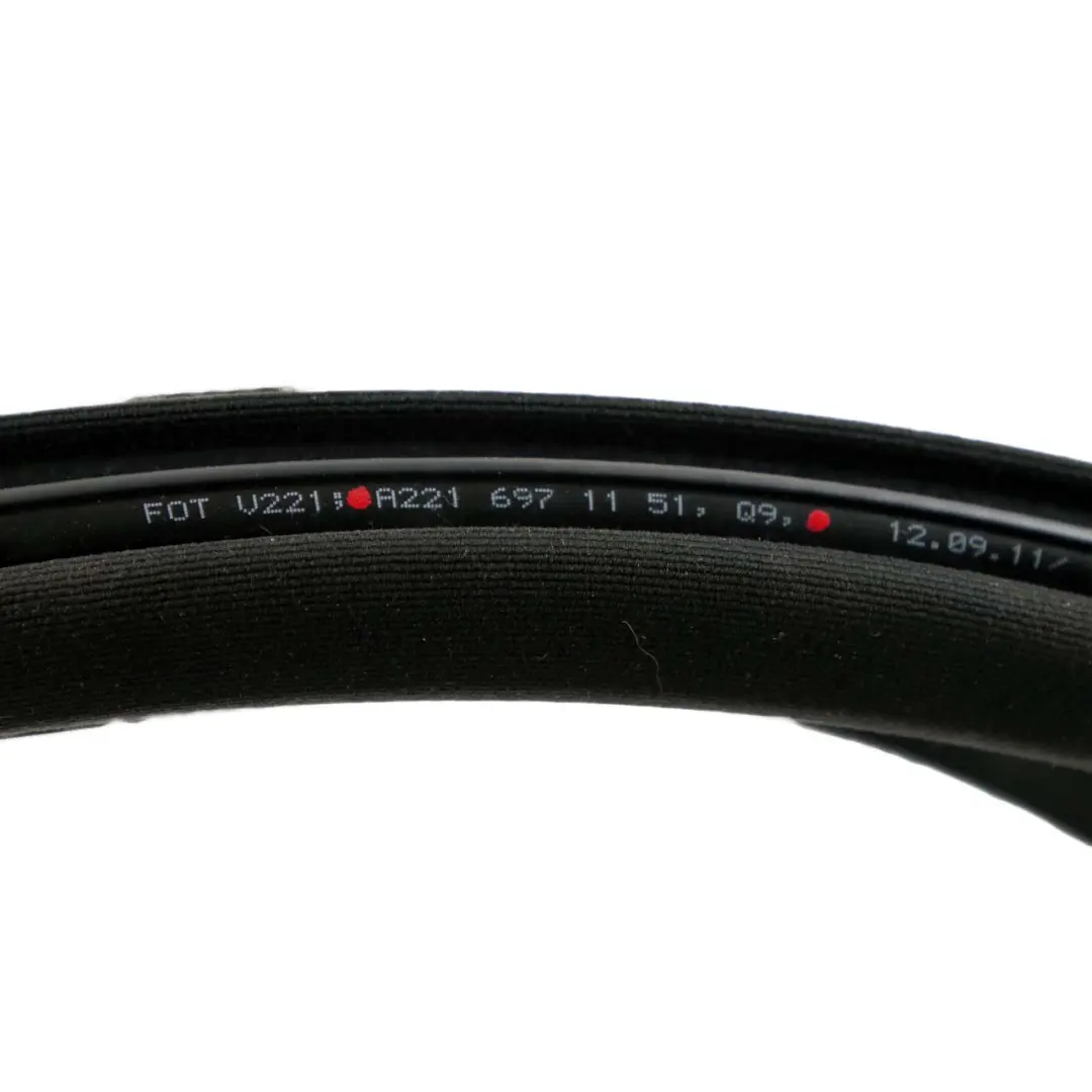 Porta posteriore sinistra destra Guarnizione di tenuta per Mercedes W221 con numero di parte A2216971151 Mercedes W221 Porta posteriore sinistra destra Guarnizione di tenuta - SKU A2216971151 - Numero di parte A2216971151