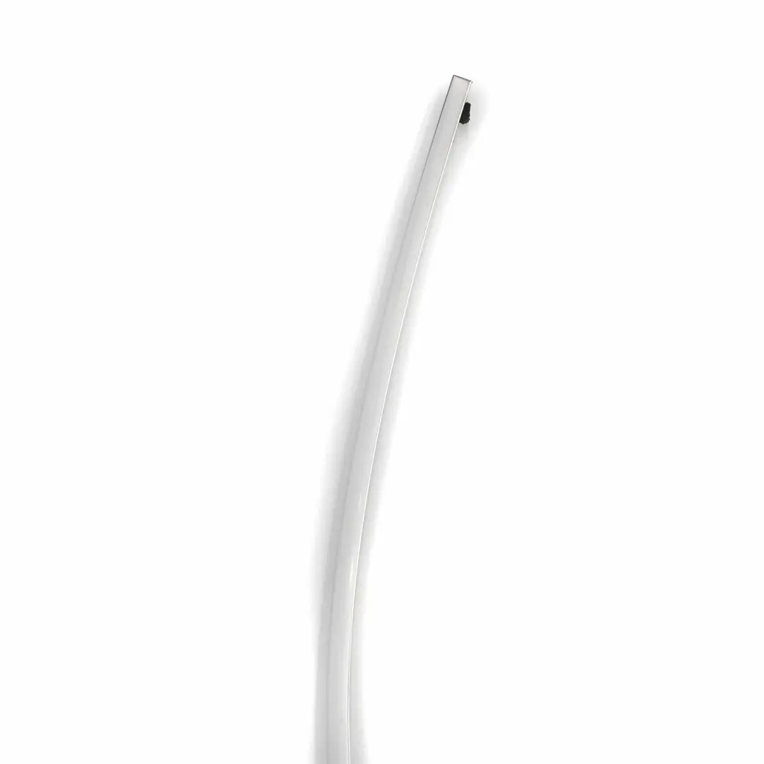  Baguette d'encadrement Mercedes W221 Avant Gauche vitre porte Chromé - SKU A2216980180 - Numéro de pièce A2216980180
