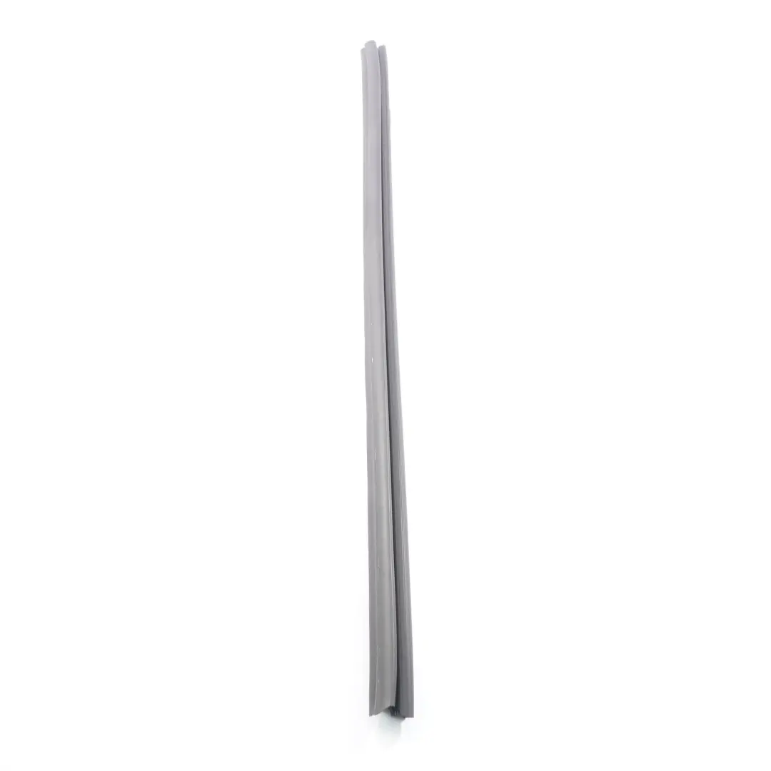 Mercedes W221 Window Seal Door Front Left N/S Sealing Gasket Strip - SKU A2217250065 - Part number A2217250065