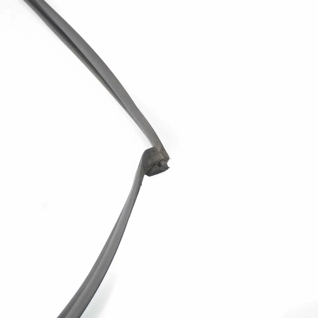  Window Seal Mercedes W221 V221 Long Guide Door Rear Left N/S Sealing - SKU A2217310680 - Part number A2217310680