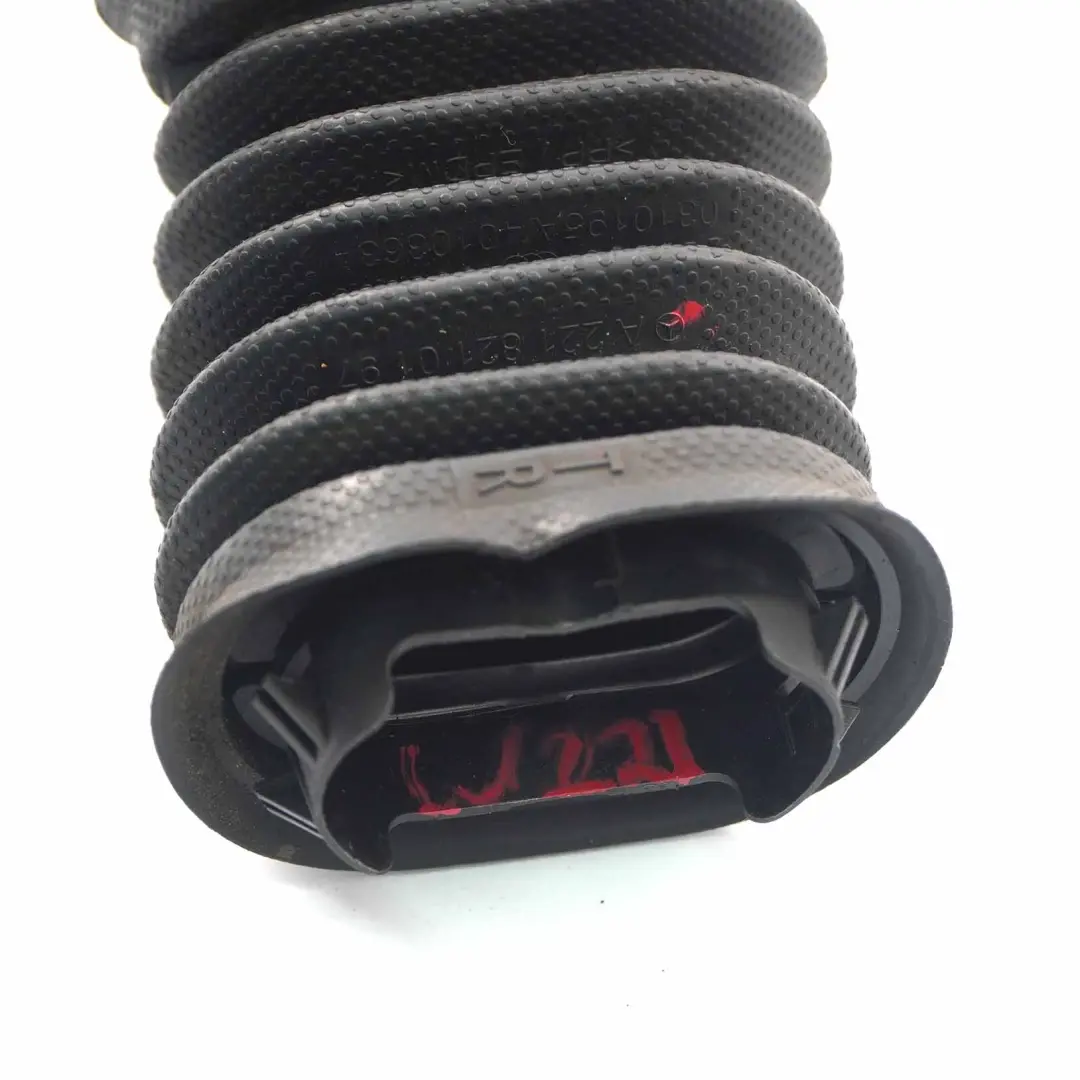 Cavo Di Cablaggio Porta Anteriore Protezione Manica per Mercedes W221 con numero di parte A2218210197 Mercedes W221 Cavo Di Cablaggio Porta Anteriore Protezione Manica - SKU A2218210197 - Numero di parte A2218210197