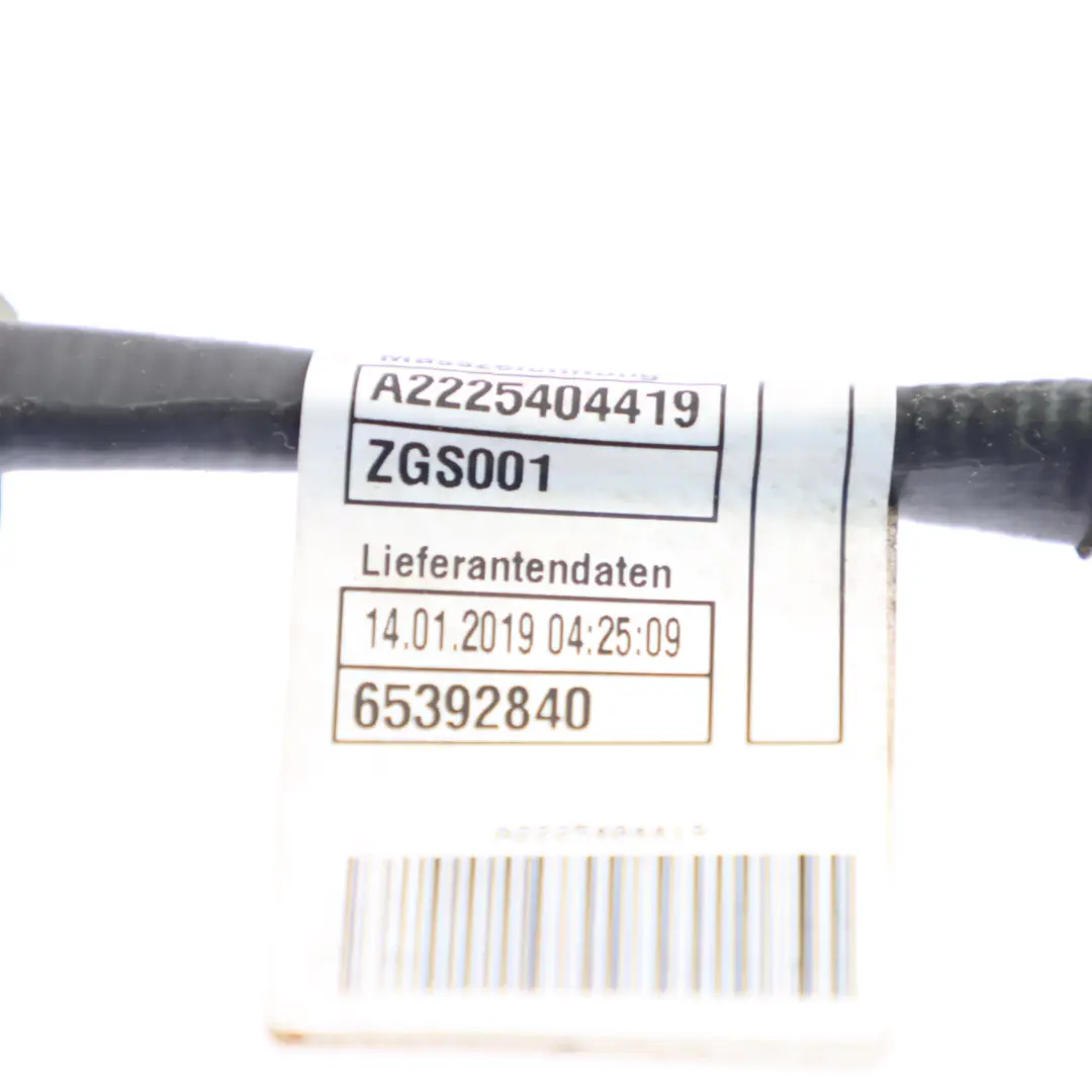 Mercedes W222 C238 C257 Harnais de câblage électrique Câble - SKU A2225404419 - Numéro de pièce A2225404419