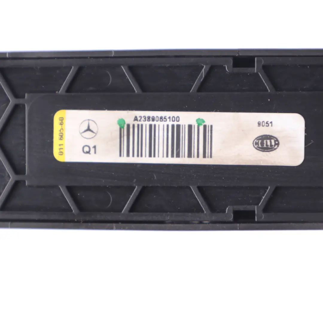 Interior Trasero Panel de Luz de Techo para Mercedes C205 con número de pieza A2389065100 Mercedes C205 Interior Trasero Panel de Luz de Techo - SKU A2389065100 - Número de pieza A2389065100