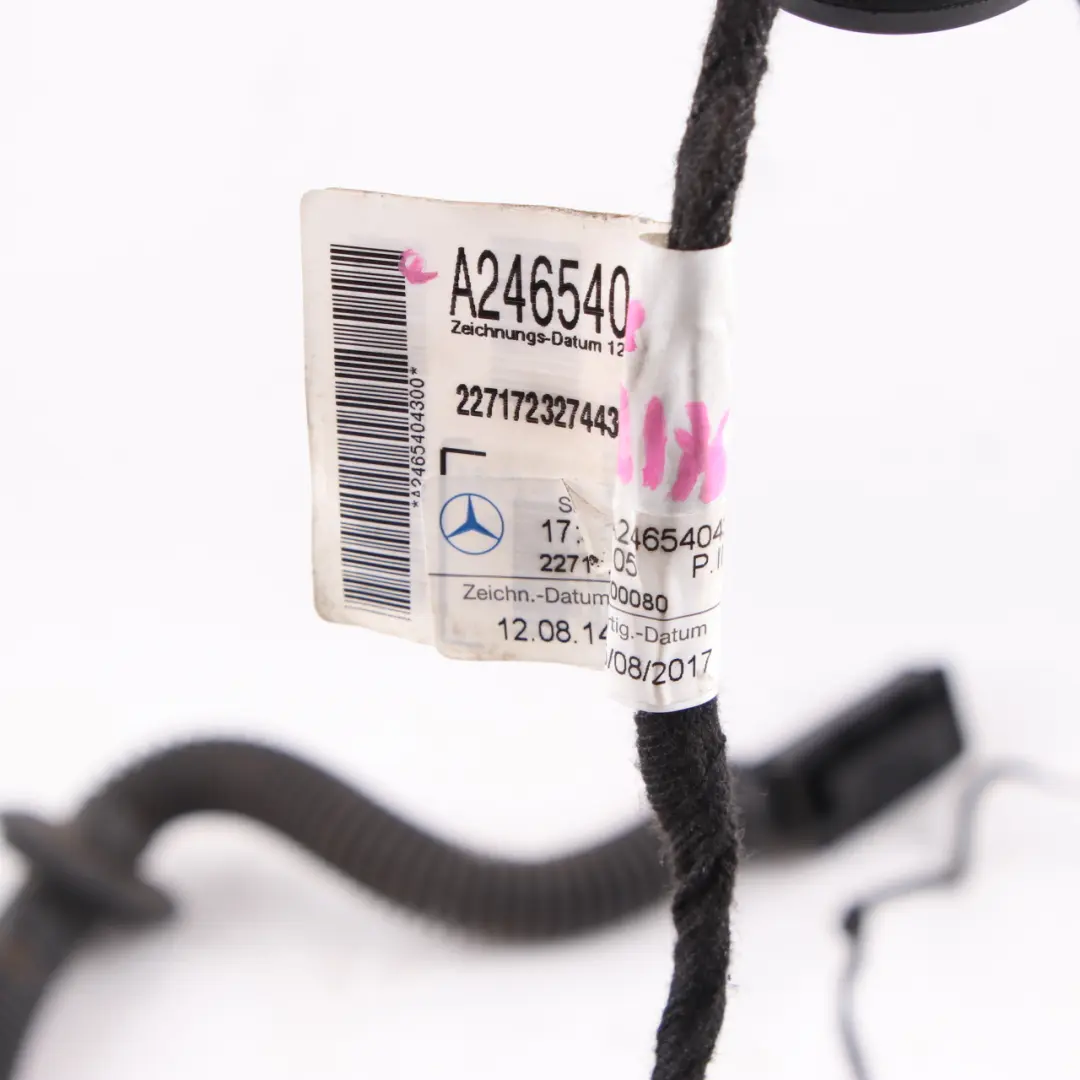 Türkabelbaum Kabelbaum Verkabelung Hinten Rechts für Mercedes W176 mit Teilenummer A2465404300 Mercedes W176 Türkabelbaum Kabelbaum Verkabelung Hinten Rechts - SKU A2465404300 - Teilenummer A2465404300