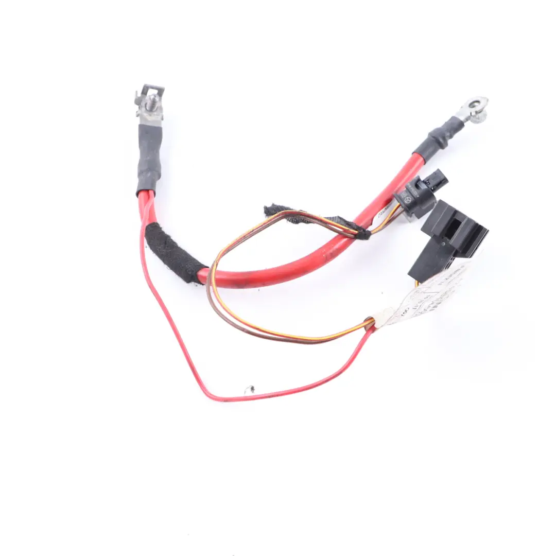  Positive Cable Mercedes W176 W246 Battery Lead Plus Pole Red - SKU A2465406607-1 - Part number A2465406607