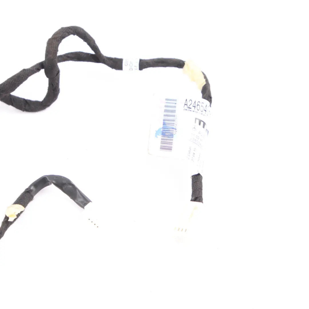 Mercedes W176 Porta Cablaggio Cavo Posteriore Sinistra Destra - SKU A2465407711 - Numero di parte A2465407711