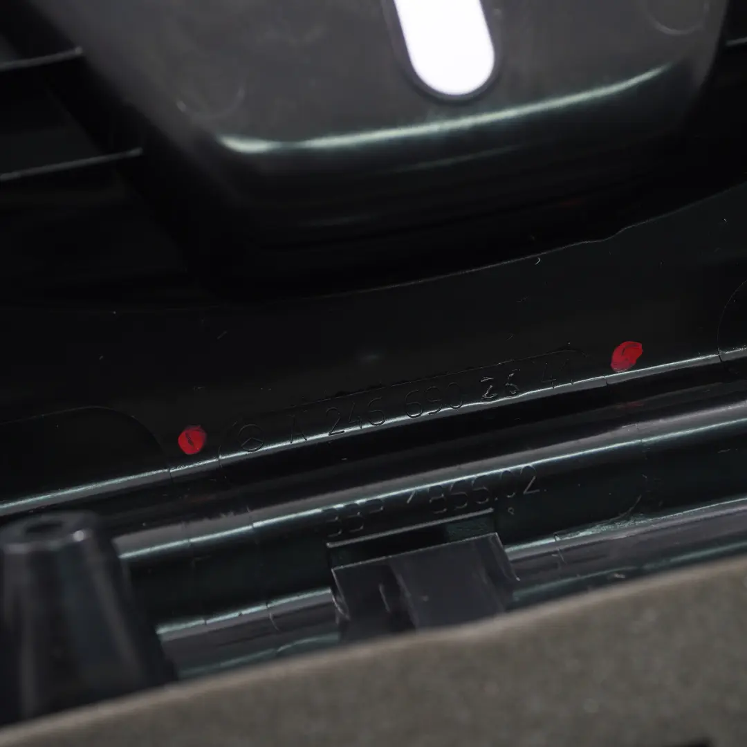 Mercedes W246 Carga Borde Maletero Equipaje Embellecedor Panel Negro - SKU A2466902641 - Número de pieza A2466902641