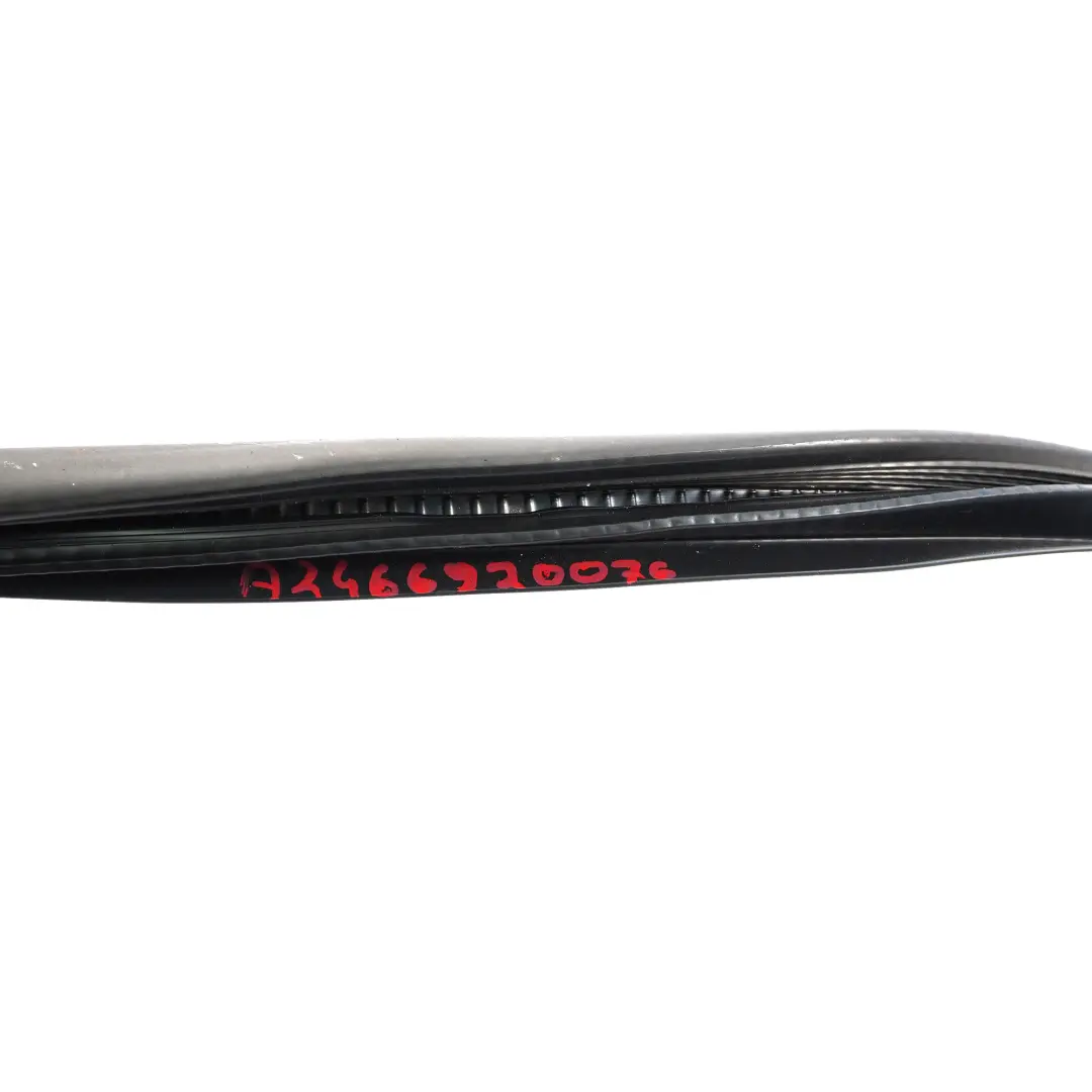 Mercedes W246 Edge Guard Front Door Frame Seal Left Right N/O/S - SKU A2466920076 - Part number A2466920076