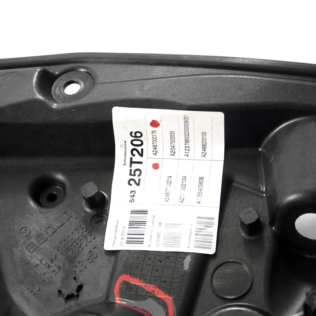 Montaje Tarjeta de Puerta Trasera Izquierda Elevalunas Eléctrico para Mercedes W246 con número de pieza A2467300179 Mercedes W246 Montaje Tarjeta de Puerta Trasera Izquierda Elevalunas Eléctrico - SKU A2467300179 - Número de pieza A2467300179