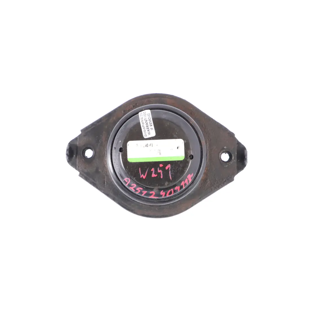 Mercedes W251 Soporte Delantero Del Motor Izquierda Derecha - SKU A2512404117 - Número de pieza A2512404117