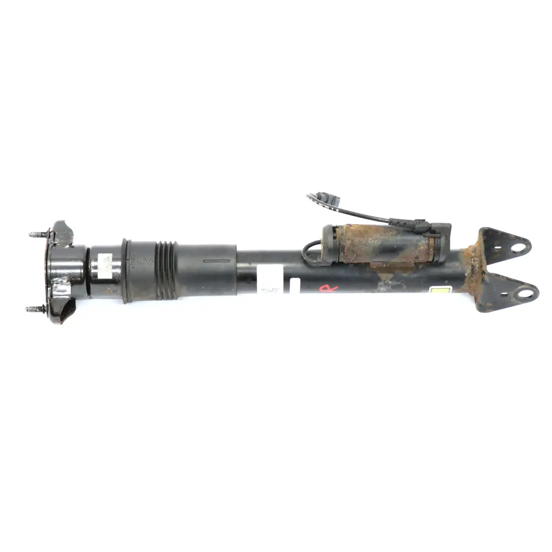 Stoß dämpfer hinten links rechts Federbein Mercedes W251 - SKU A2513202231 - Teilenummer A2513202231