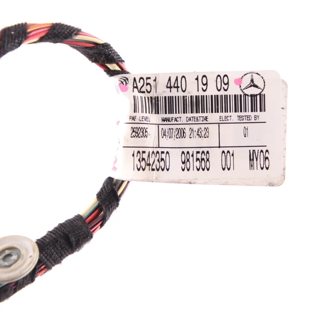 Cablaggio Porta Anteriore Sinistra Destra per Mercedes W164 W251 con numero di parte A2514401909 Mercedes W164 W251 Cablaggio Porta Anteriore Sinistra Destra - SKU A2514401909 - Numero di parte A2514401909